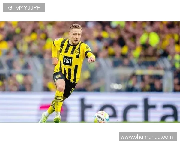 沙尔克与门兴格拉德巴赫对决分析及比赛前瞻策略探讨